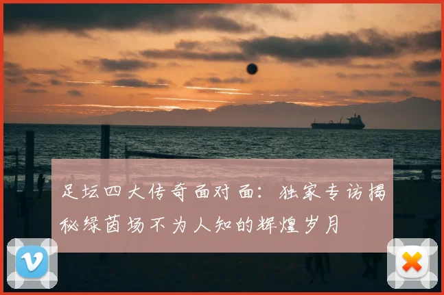 足坛四大传奇面对面：独家专访揭秘绿茵场不为人知的辉煌岁月