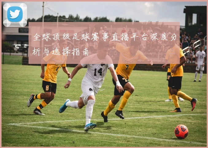 全球顶级足球赛事直播平台深度分析与选择指南